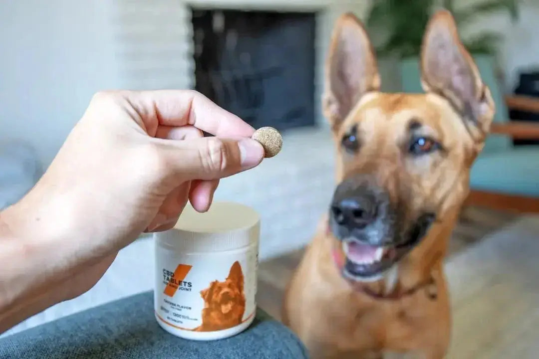 How to dehydrate chicken for dog treats