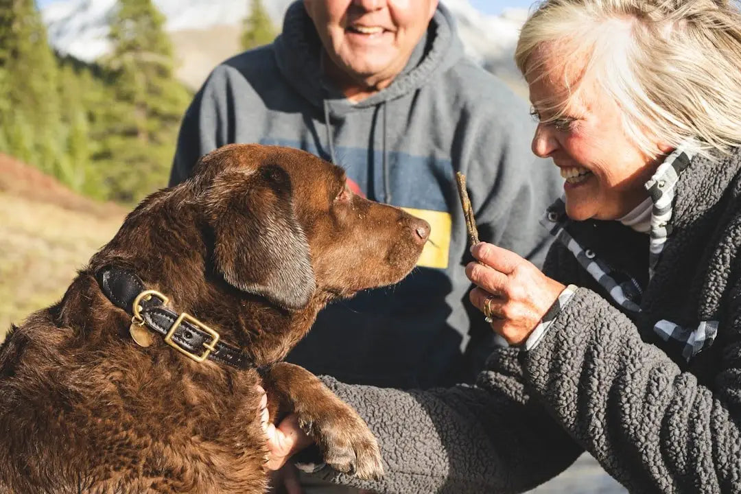 Discover the Benefits of Duck Feet Dog Treats for Your Furry Friend