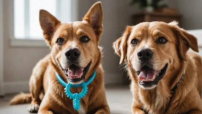 Dog Dental Toys: Best Options for Your Pet's Oral Health - Talis Us