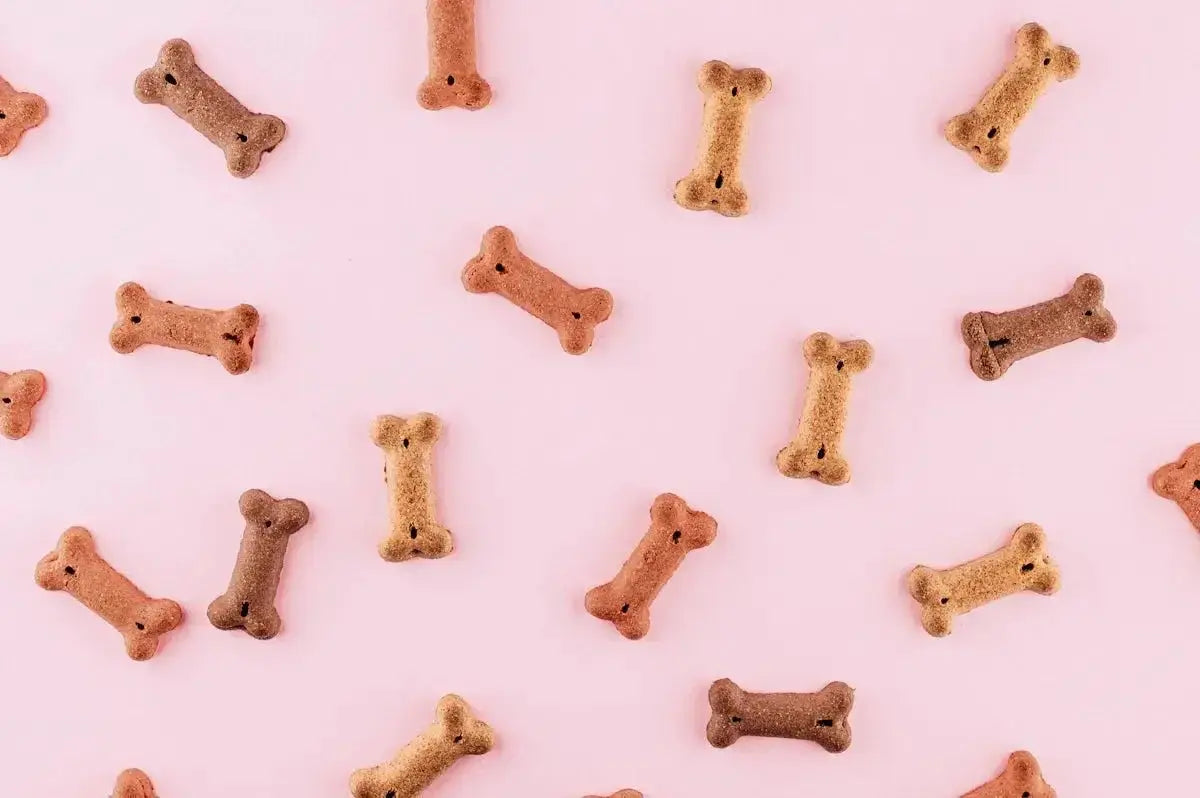 Dog Food and Treats A Complete Guide to Optimal Nutrition for Your Pet