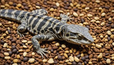 Dried Reptile Food: Convenience and Long Shelf Life - Talis Us