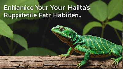 Enhance Your Reptile's Habitat with High-Quality Reptile Heat Emitters - Talis Us