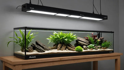 Ensure Proper UVB Lighting with the Arcadia T5 UVB Kit - Talis Us