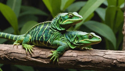 Essential Tips for Reptile Owners: Creating the Perfect Habitat - Talis Us