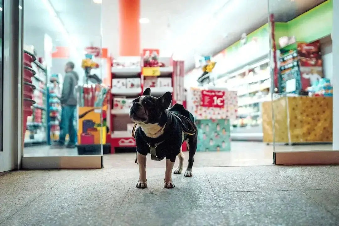 Exploring the Unique Offerings of Talis-us Pet Store