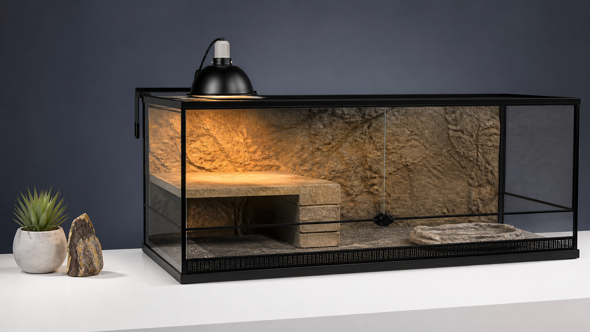 Best Bearded Dragon Enclosure Setups 2026: Reviews & Buying Guide