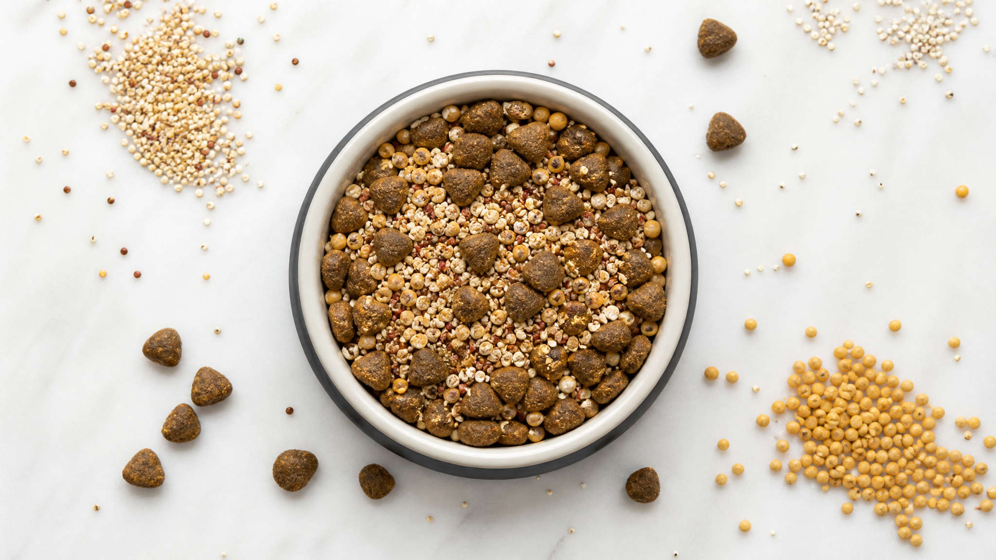 Grain-Free vs Ancient Grains: What Dog Owners Should Know
