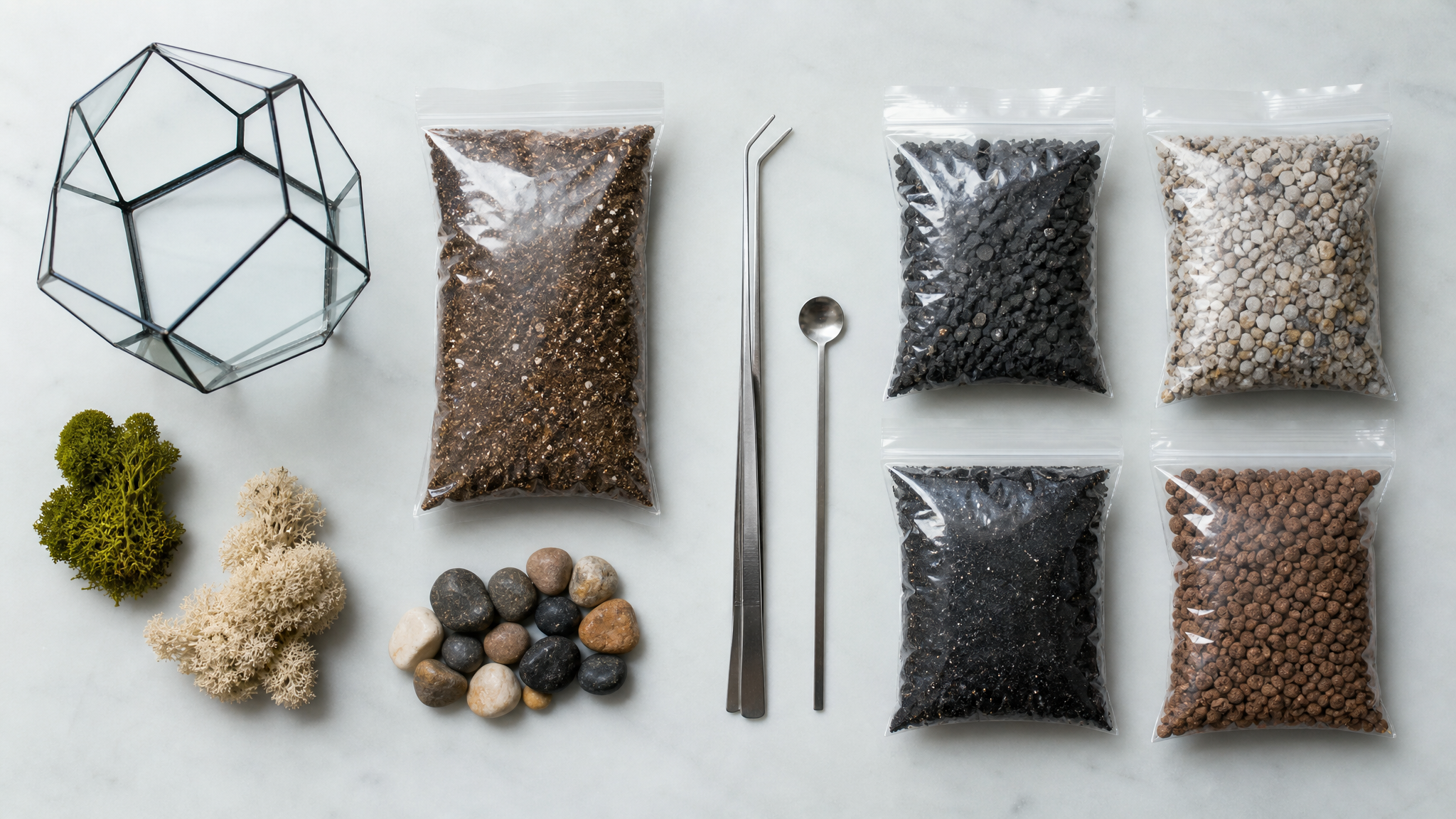 Wholesale Terrarium Accessories Online: What to Know Before Ordering in Bulk