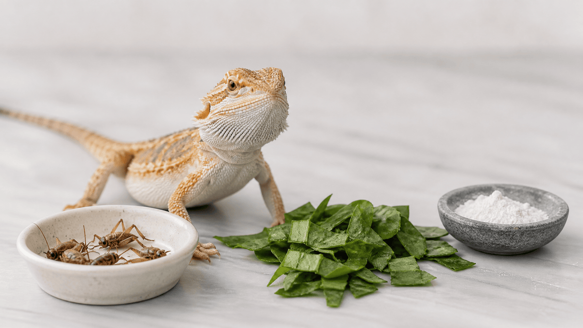 What Do Bearded Dragons Eat Daily? Safe Foods and Portions