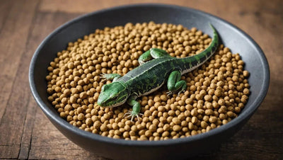 Feed Your Reptile with High-Quality Dry Food for Optimal Nutrition - Talis Us