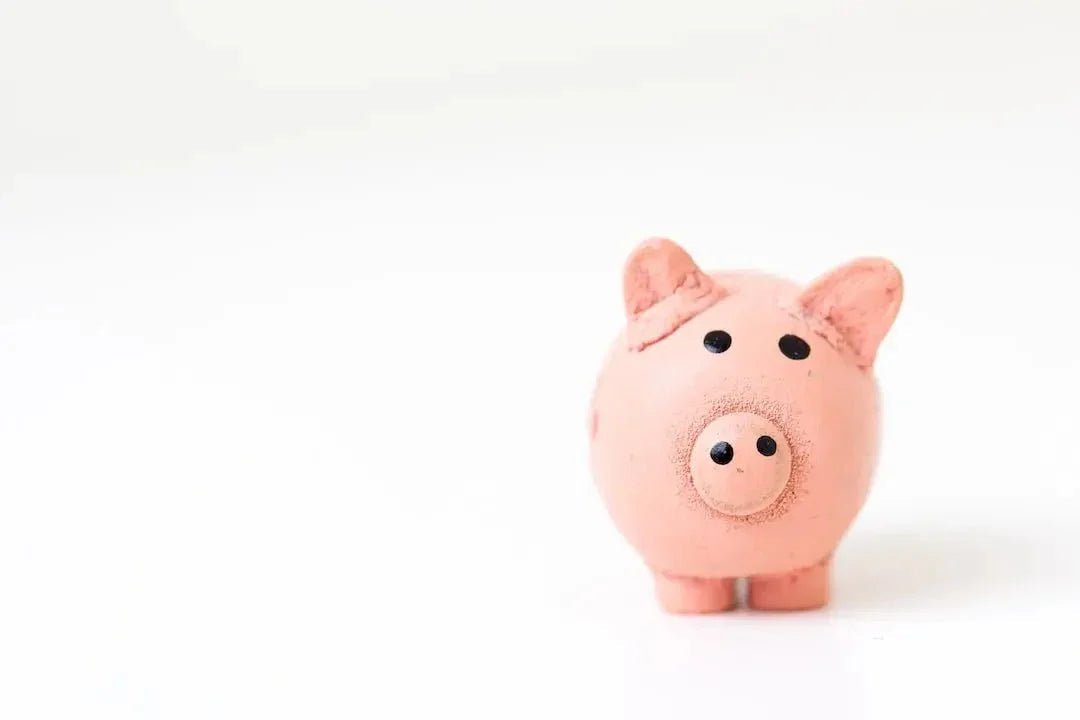 Find Discount Pet Products: Save Big on Essentials