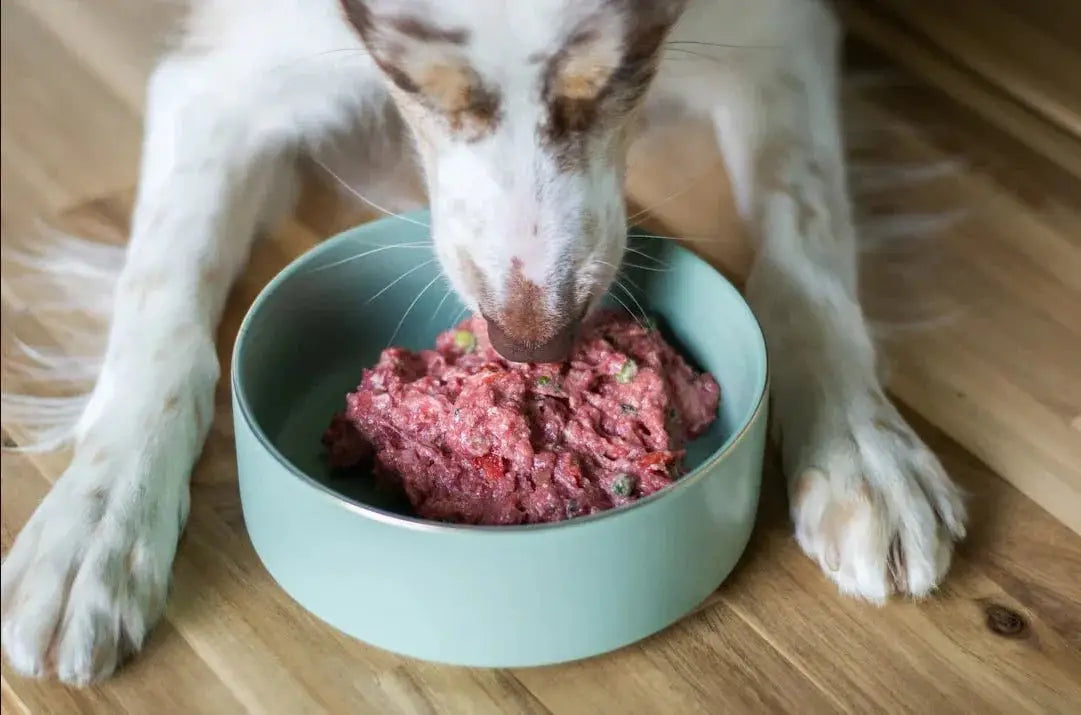 Are freeze-dried beef liver and salmon good for my dog's health