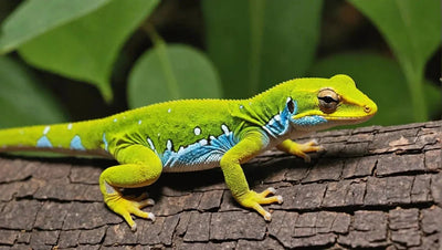 Gecko Food: A Guide to Feeding Your Gecko - Talis Us