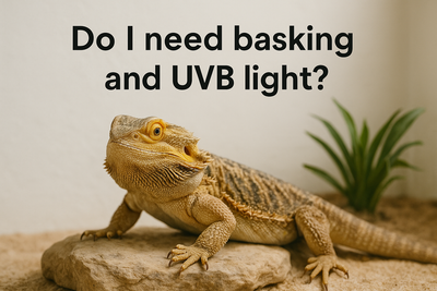 do i need basking and uvb light