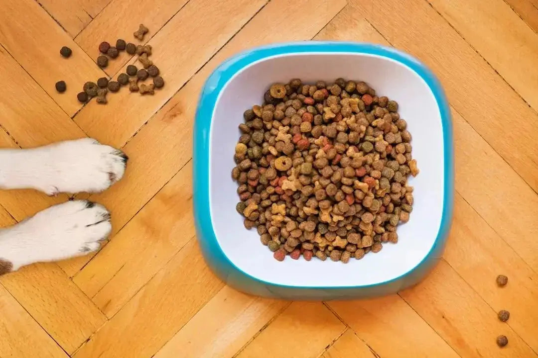 Homemade Dehydrated Dog Food Recipes Guide