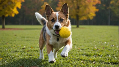 Interactive Dog Toys: Keep Your Pup Active and Engaged - Talis Us