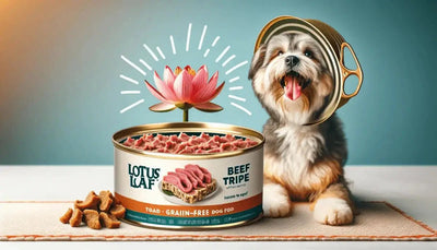 Lotus Loaf Beef Tripe Recipe: The Ultimate Grain-Free Canned Dog Food - Talis Us