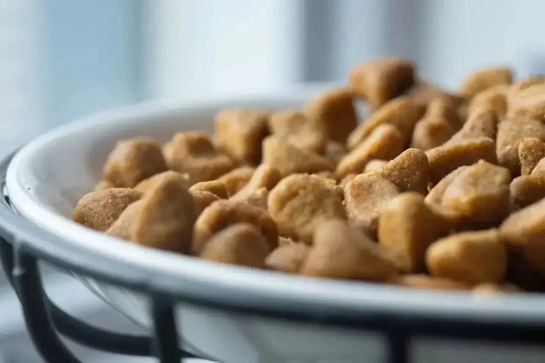Natural Balance Pet Food: A Healthy Choice for Your Pet