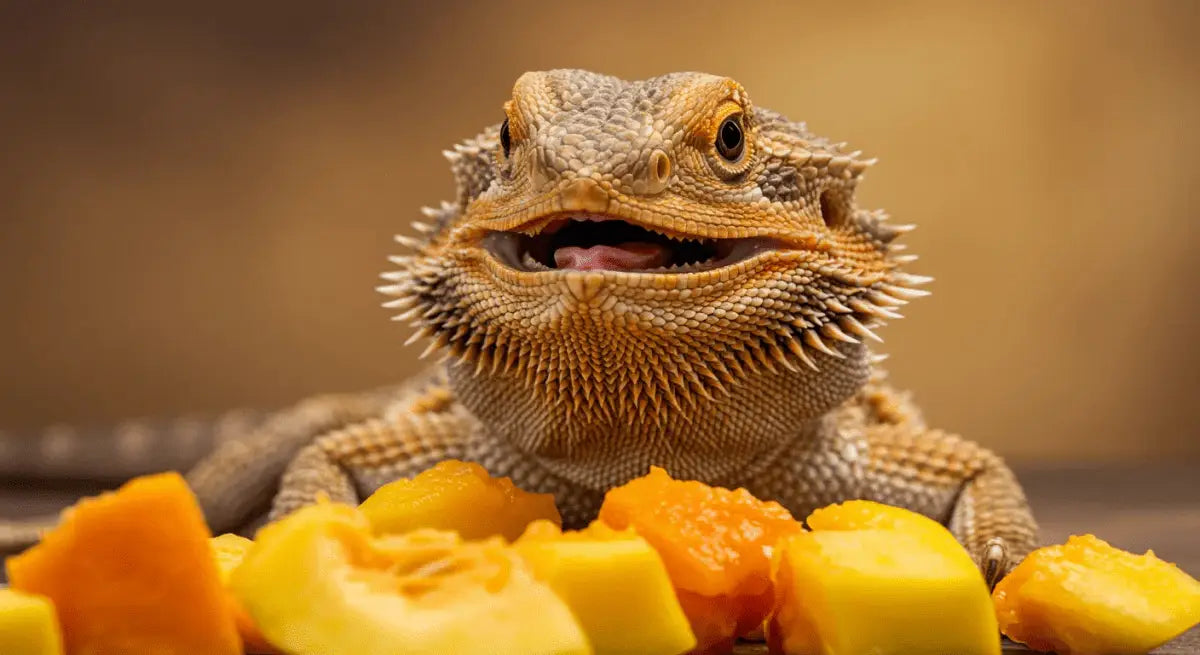 Nutritional Benefits of Squash for Bearded Dragons