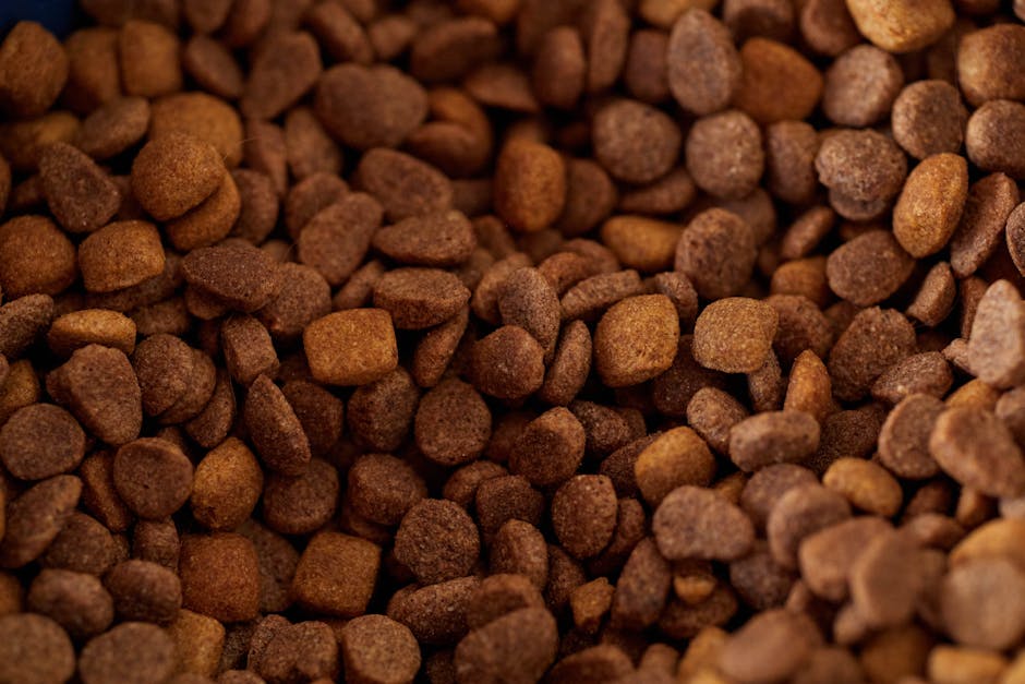 Beyond Kibble: Sourcing Premium, Easy to Chew Dog Food Alternatives and Soft Dog Treats for Seniors at Your Specialty Pet Retailer