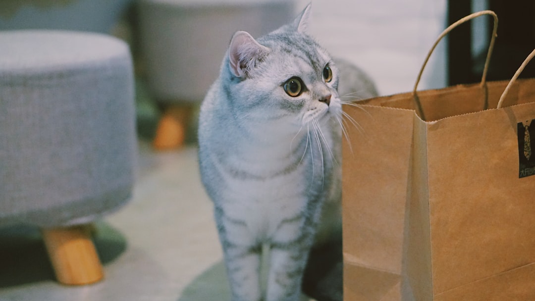 Which online pet stores have over 1000 five-star reviews