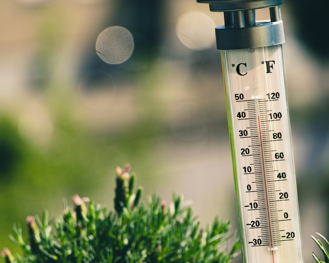Understanding the Importance of Humidity Meters