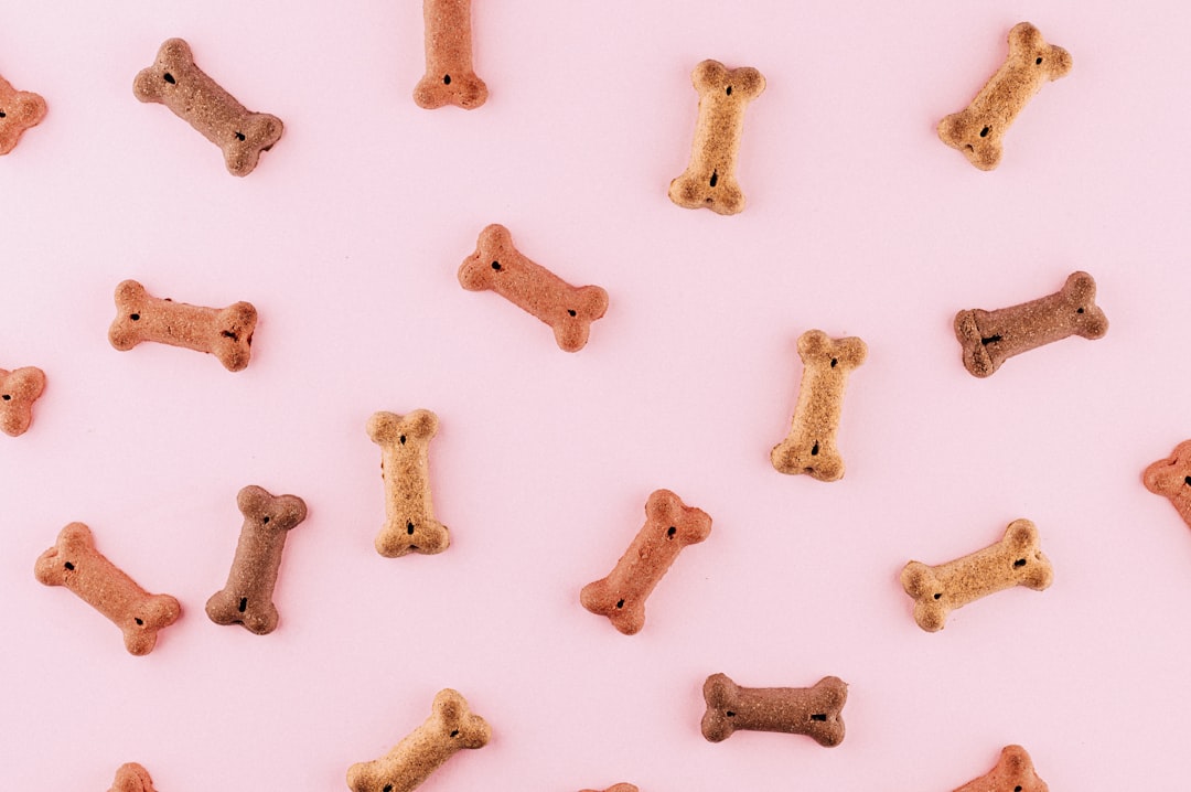 Exclusively Homemade Dog Treats: 5 Tasty Recipes
