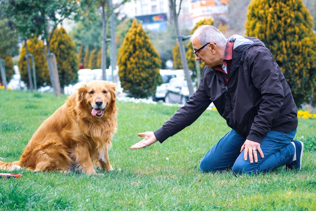 Pets Fence Collection - Dog Training Aids at Talis-us