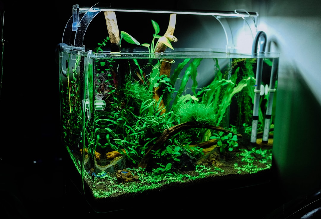 New Life Spectrum: Premium Aquarium Nutrition for Vibrant Fish