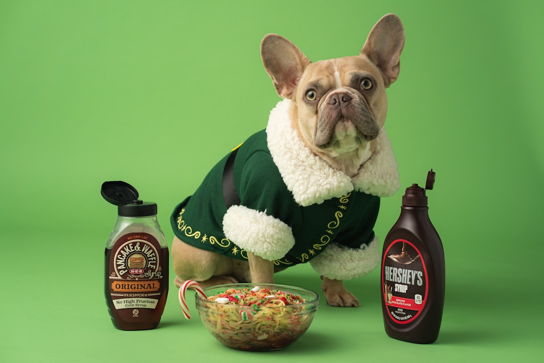 Pet-Ag: Effective Pet Products & Milk Replacer Solutions