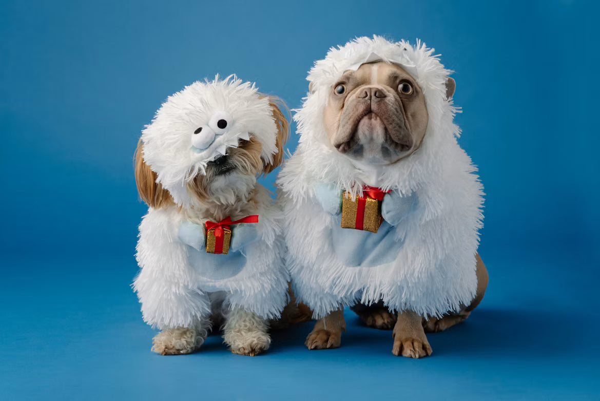 Holiday Gift Guide