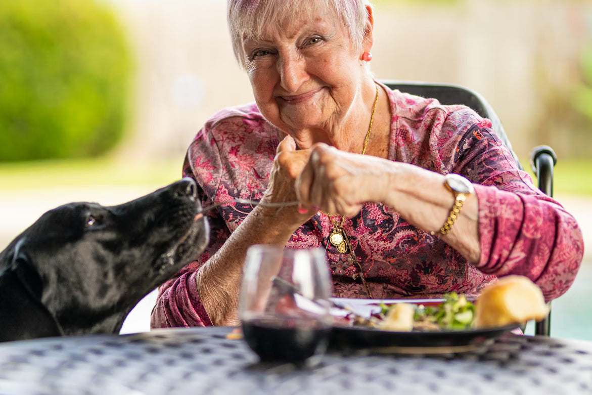 Best Senior Pet Nutrition