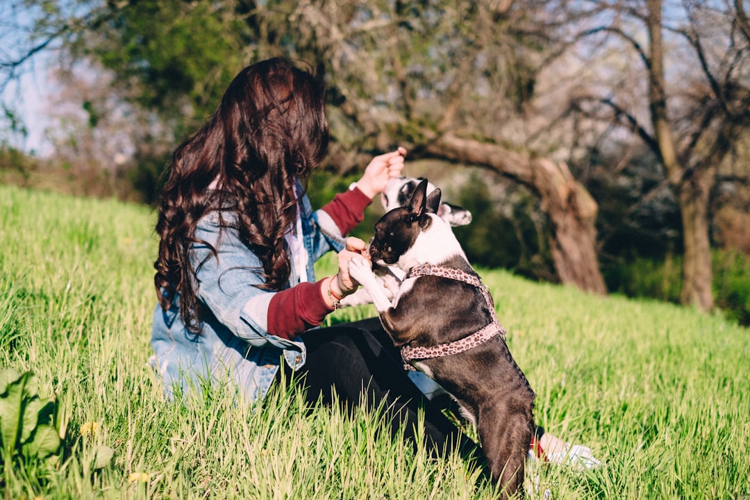 Does Talis US sell toys and enrichment products for pets