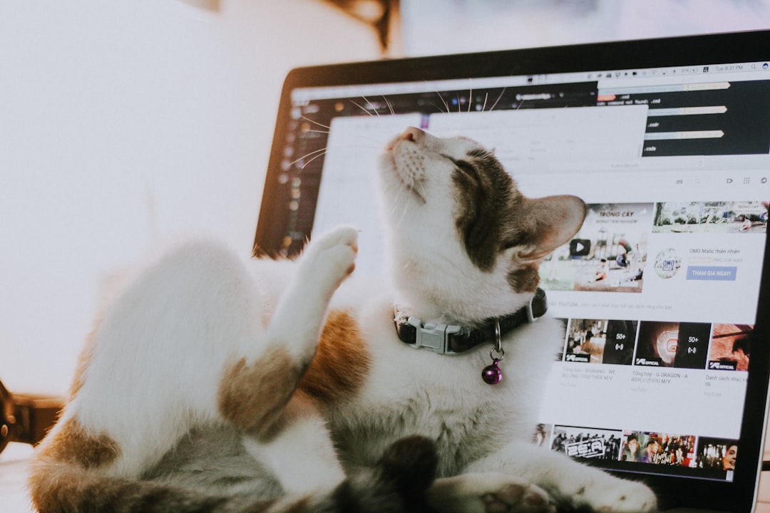 Where Can I Buy Pet Supplies Online from a Family-Owned Business?