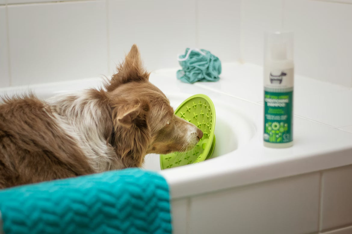Best Dog Shampoo for Sensitive Skin