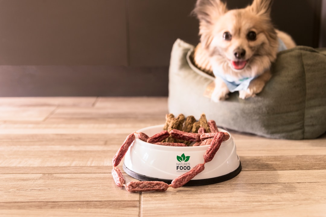 What Is the Best Natural Dog Food for Sensitive Stomachs?