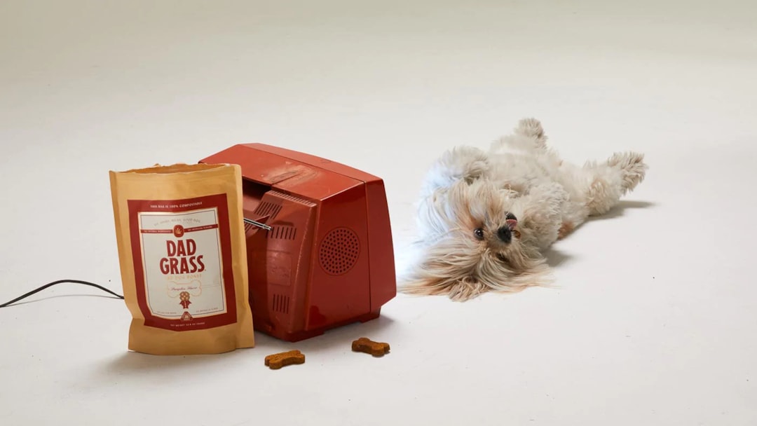 What pets does Talis US carry products for