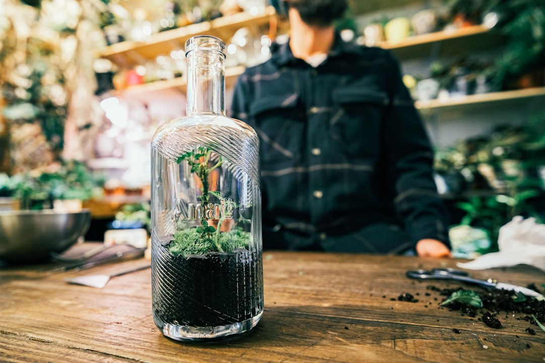 Creative Ideas for Terrarium Decorations