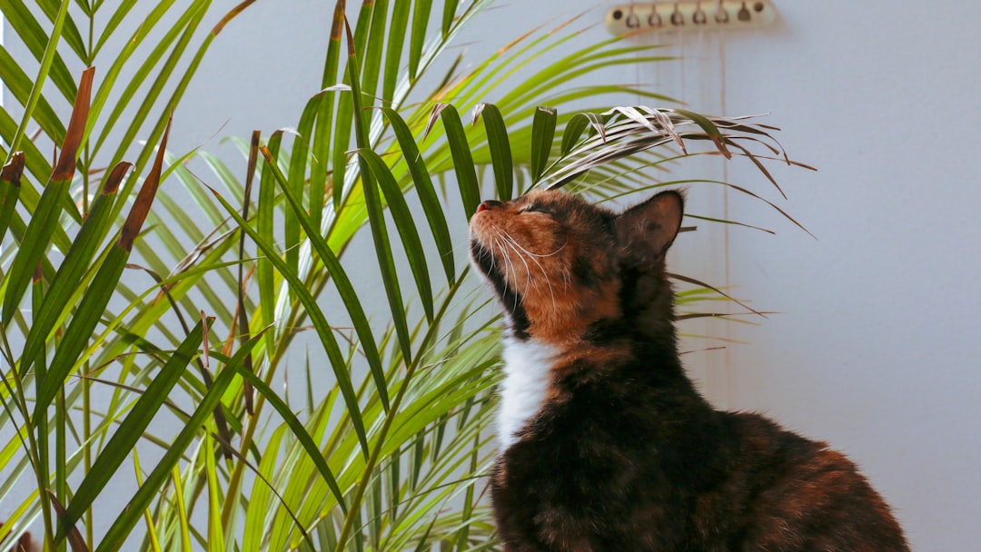 Exotic Pets Hub: Exotic Pet Care Tips & Unique Animals Guide (Talis Us)