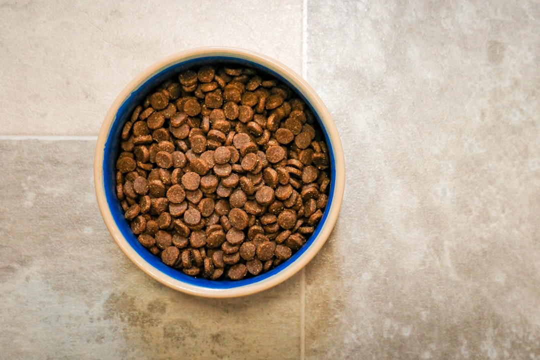 Ancient Grains Dog Food: Optimal Health & Nutrition