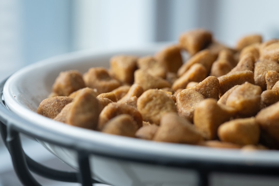 AvoDerm Dog Food: Top Benefits & Reviews 2025