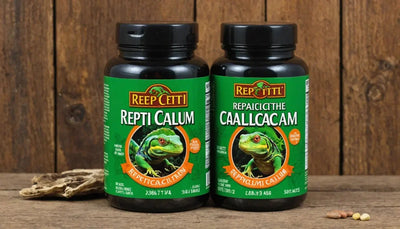 Repti Calcium Supplement with D3 - Talis Us