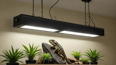 Reptile Light Fixture - 36 Inch: The Perfect Lighting Solution - Talis Us