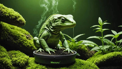 Reptile Systems Mercury Vapor: The Ultimate Guide - Talis Us