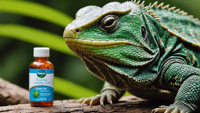 Take Care of Your Reptile's Health with These Essential Care Products - Talis Us