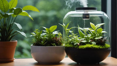 Terrarium Humidifier: Optimal Moisture Control for Your Plant Habitat - Talis Us