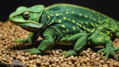 The Top 5 Live Food Options for Your Reptiles - Talis Us