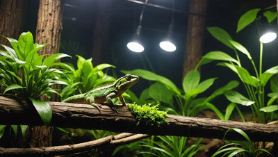The Ultimate Guide to Choosing Lights for Your Reptile Habitat - Talis Us