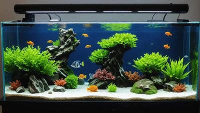 Top 5 Custom Fish Tank Decorations to Enhance Your Aquarium - Talis Us