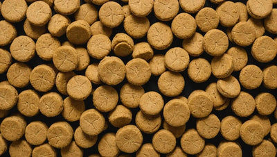 Top 5 Freeze-Dried Dog Treats for Allergies - Talis Us